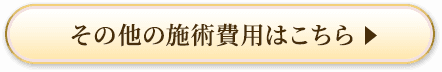 その他の施術費用はこちら